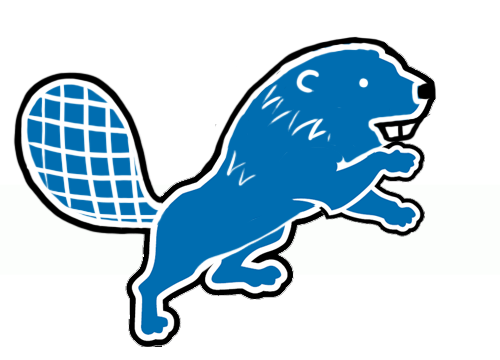 Detroit Lions Canadian Logos DIY iron on transfer (heat transfer)